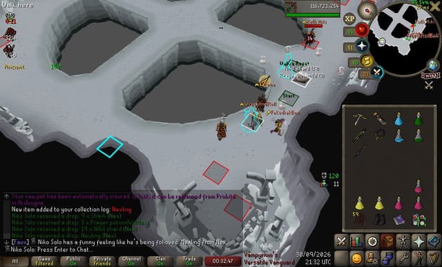 Screenshot of Nexling
