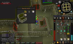 Screenshot of Guthan's platebody