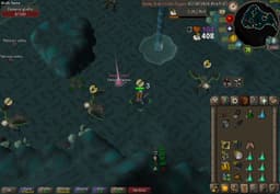 Screenshot of Zenyte shard