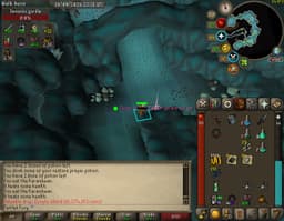 Screenshot of Zenyte shard