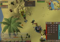 Screenshot of Pheasant hat