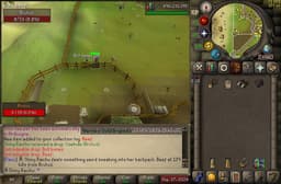 Screenshot of Beef