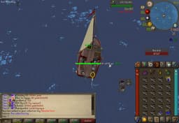 Screenshot of Narwhal horn