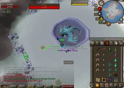 Screenshot of Vorkath's head