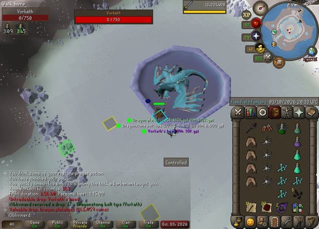 Screenshot of Vorkath's head