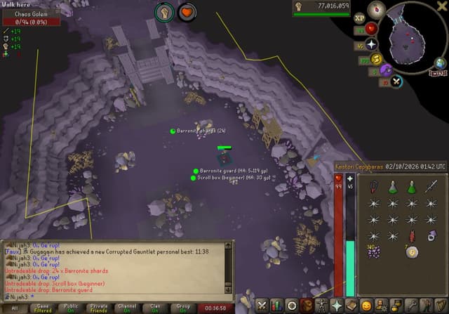 Screenshot of Barronite guard