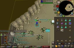 Screenshot of Dragon chainbody