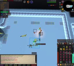 Screenshot of Saradomin's light