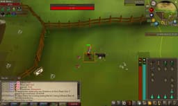 Screenshot of Beef