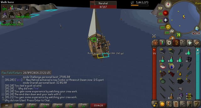 Screenshot of Narwhal horn