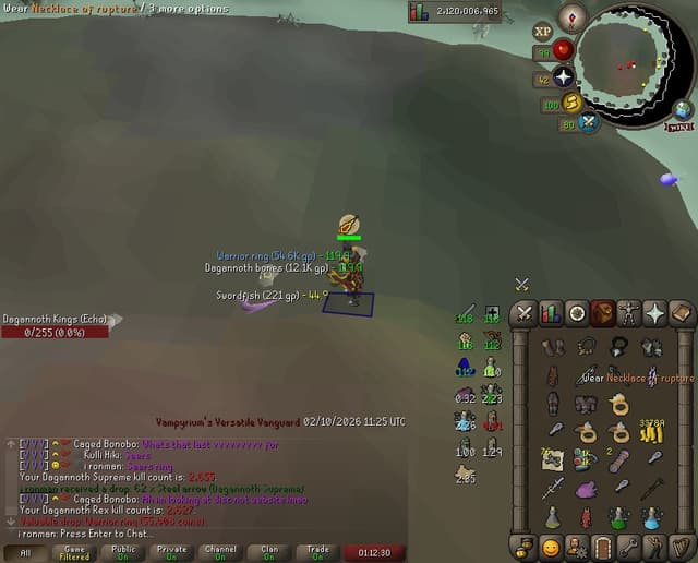 Screenshot of Warrior ring