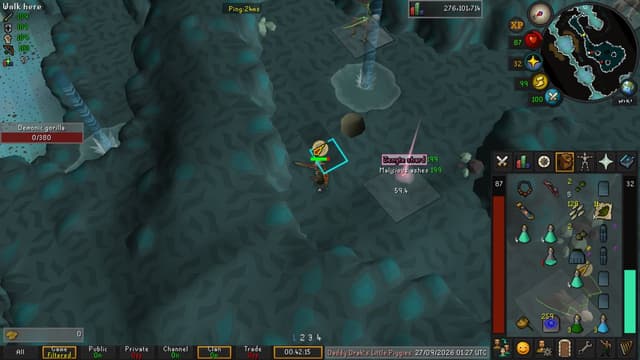 Screenshot of Zenyte shard