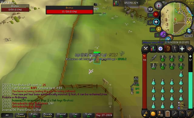 Screenshot of Beef