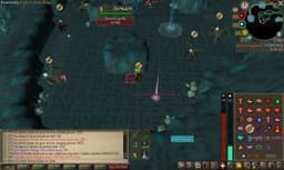 Screenshot of Zenyte shard