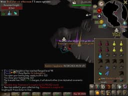 Screenshot of Thammaron's sceptre (u)