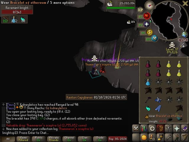 Screenshot of Thammaron's sceptre (u)