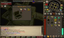 Screenshot of Ahrim's hood