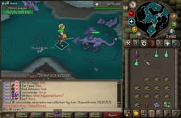 Screenshot of Chewed bones