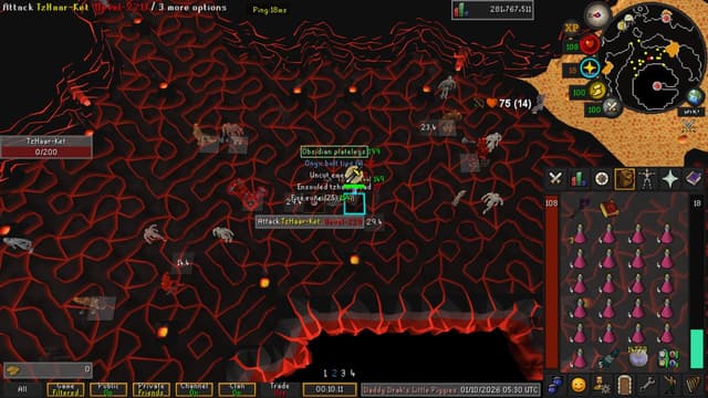 Screenshot of Obsidian platelegs