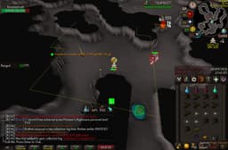 Screenshot of Thammaron's sceptre (u)
