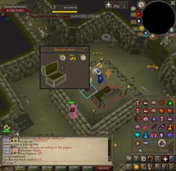 Screenshot of Ahrim's robeskirt
