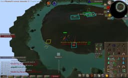 Screenshot of Berserker ring