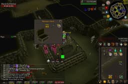 Screenshot of Dharok's greataxe