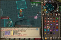 Screenshot of Zenyte shard