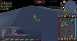 Screenshot of Narwhal horn