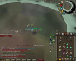 Screenshot of Berserker ring
