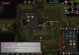 Screenshot of Dharok's platelegs