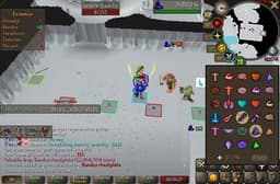 Screenshot of Bandos chestplate
