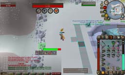 Screenshot of Vorkath's head