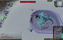 Screenshot of Vorkath's head