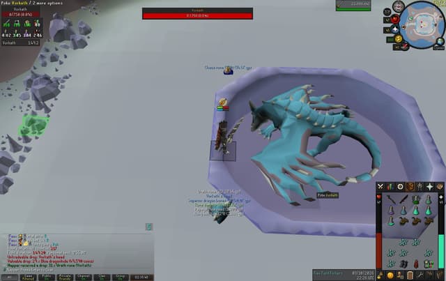 Screenshot of Vorkath's head