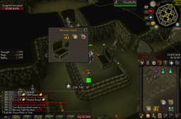 Screenshot of Verac's helm