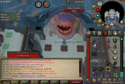 Screenshot of Virtus robe top