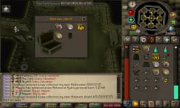 Screenshot of Guthan's chainskirt