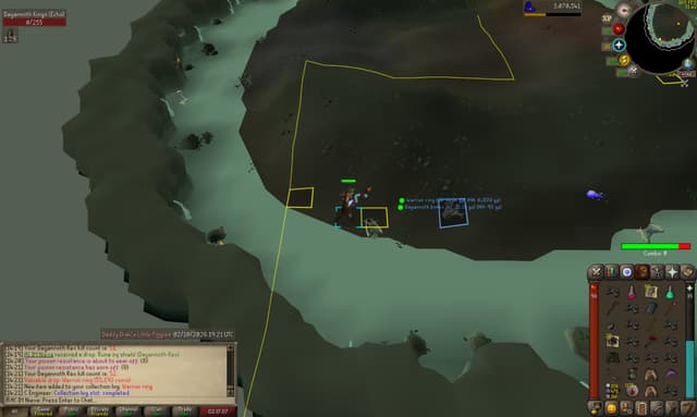 Screenshot of Warrior ring