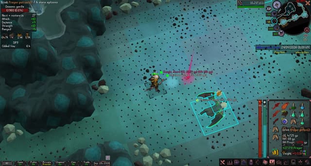 Screenshot of Zenyte shard