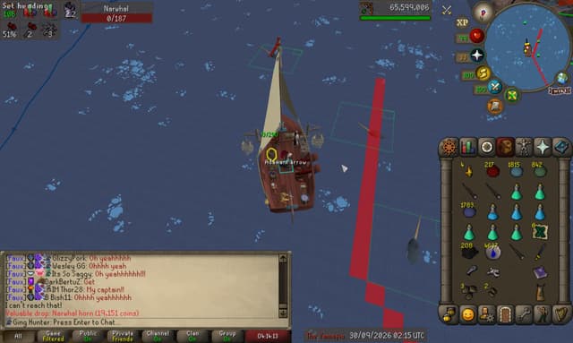 Screenshot of Narwhal horn
