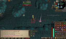 Screenshot of Zenyte shard