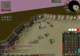 Screenshot of Dragon 2h sword