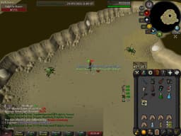 Screenshot of Dragon chainbody