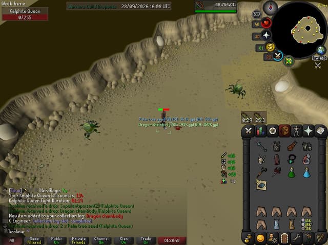 Screenshot of Dragon chainbody