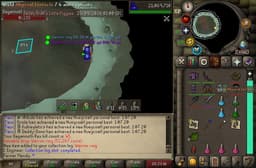 Screenshot of Warrior ring