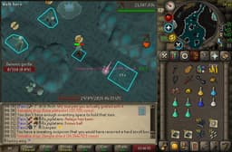 Screenshot of Zenyte shard