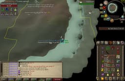 Screenshot of Warrior ring