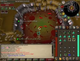 Screenshot of Sarachnis cudgel