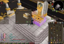 Screenshot of Tumeken's shadow (uncharged)